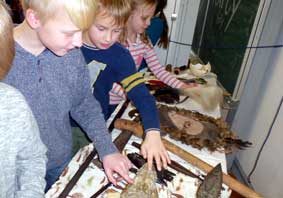 Hinseler Schule Tarikih 2015