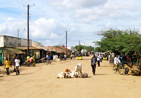Holamainroad