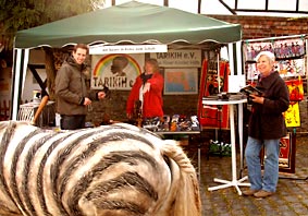 Infostand mit Zebrad