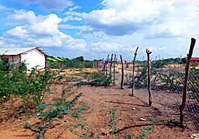Schulzaun