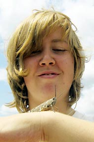 Hanna und die Riesenheuschrecke